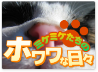 電子書籍「ミケミケたちのホワワな日々」