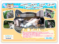 毎日！たまメール