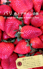 パリ 色とデザインの旅 赤